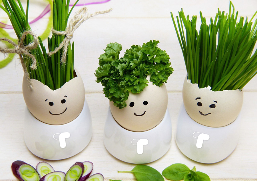 Z okazji Świąt Wielkanocnych 