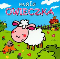 Mała owieczka