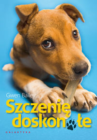 Szczenię doskonałe