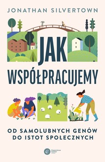 Jak współpracujemy