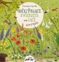 Boćki i zające. Zwierzęta na łące. Polne przygody